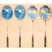 Badminton Racchette