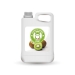 Kiwi Juice Concentrato