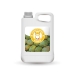 Mango Juice Concentrato