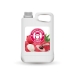 Litchi Juice Concentrato