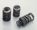 Valve Spring