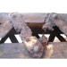 Cathodic Corrosion Protection