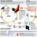 Poultry Vaccination