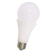 LED 10W Ampoule