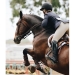 Neoprene Saddle Pad