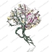 Rhinestone Brooch