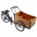 Front Cargo Trike