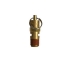 Brass Safety Valve