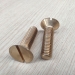 Slotted Flat Head Machine Screw