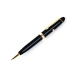 Alta Laser Pointer motorizado