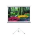 Tripod screen