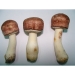 Agaricus blazei extract