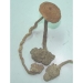 Ganoderma lucidum