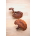 Dried reishi mushrooms