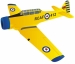 RC électrique Warbird