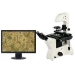 Digital Inverted Microscope