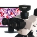 CCD Microscope Camera