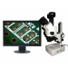 Digital Stereo Microscope