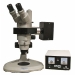 Fluorescence Stereomicroscope