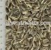 Striped sunflower seeds