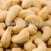 CASHEW NUTS,HAZEL NUTS,WALNUTS, AND OTHER NUTS READY FOR SALE