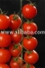 Tomate de cereja