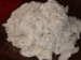 Fibre de coton