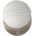 Ceiling Fluorescent Light
