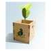 Personnalisation de masse de la boîte en bois