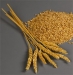 3.Class Soft Kazakhstan Wheat для хлеба