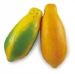 PEPAYA