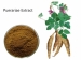 Имя продукта: экстракт Puerariae <br> Латинское название: Pueraria Lobata (Willd.) Ohwi <br> Активный ингредиент: Изофлавоны ≥ 40% <br> Тип: травяной экстракт <br> Внешний вид: Темные желтого до белого порошка <br> Запах и вкус: характерный <br> Часть Б: 