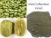 Ürün Adı: Green Coffee Bean Özü <br> Latince Adı: Vigna mungo (L.) <br> Aktif Madde: Klorojenik asit 10% -99% <br> Türü: Bitkisel özü <br> Görünüş: Açık sarı-kahverengi kapalı beyaz ince kristal toz <br> Koku ve Tat: Karakteristik <br> İkinci Kısım: Tohum