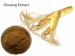 Ürün Adı: Ginseng Extract <br> Latince Adı: Panax quinquefolium L. <br> Aktif Madde: ginsenoside 80% <br> Türü: Bitkisel özü <br> Görünüş: Soluk sarı toz <br> Koku ve Tat: Karakteristik <br> İkinci Kısım: Kök <br> Ekstraksiyon Tip: Solvent ekstraksiyon <b