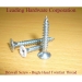 Bugle Head Screw