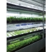 Indoor Vegetable Growing