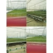 Greenhouse Personalizado
