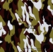 Camouflage Patterns- Water Transfer Printing Film