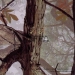 Camouflage Patterns- Water Transfer Printing Film