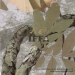 Camouflage Patterns- Water Transfer Printing Film