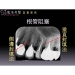 Root Canal Chirurgia