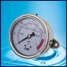 Seismic Pressure Gauge for Water Treatment