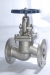 Globe valve