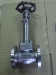 EXTEND GATE VALVE