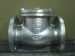 Check valve