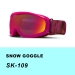 Beste Skibrille