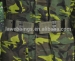 Professional military uniform belts