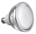 30W регулируемой яркостью LED PAR38 2700K 110D